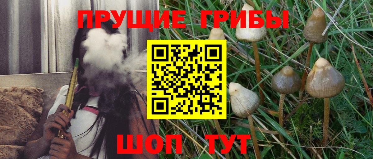 Галлюциногенные грибы ЛСД  хочу наркоту  Белово  Вход с VPN 